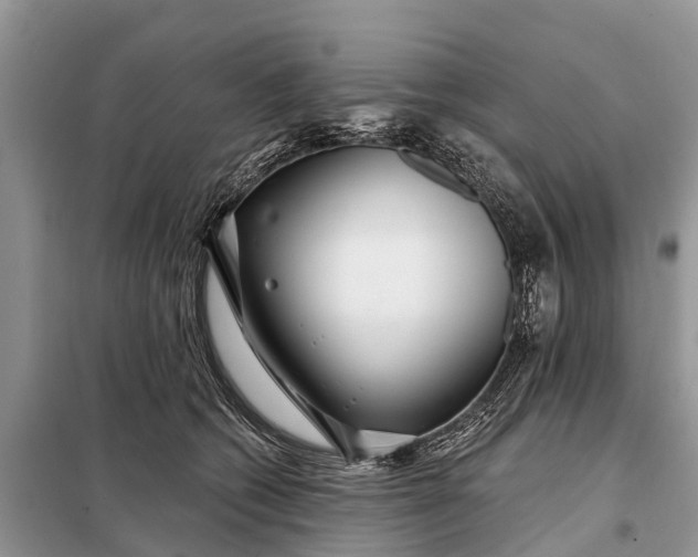 X0000097970562200804071101