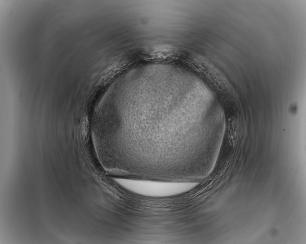 X0000097970563200804071101