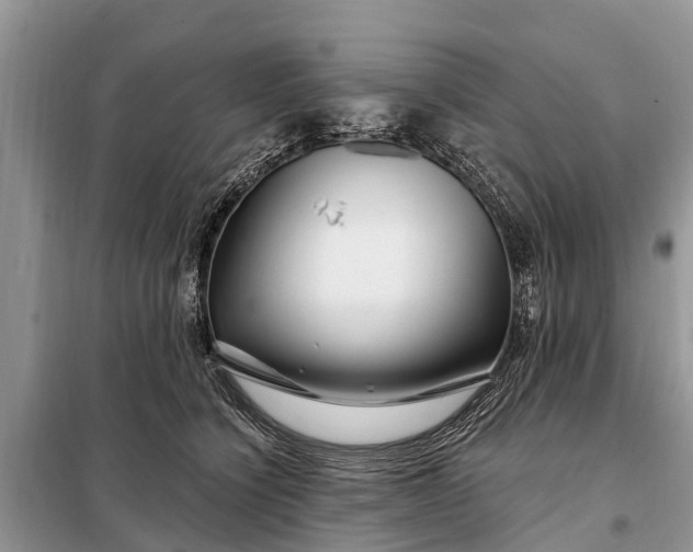 X0000097970564200804071101