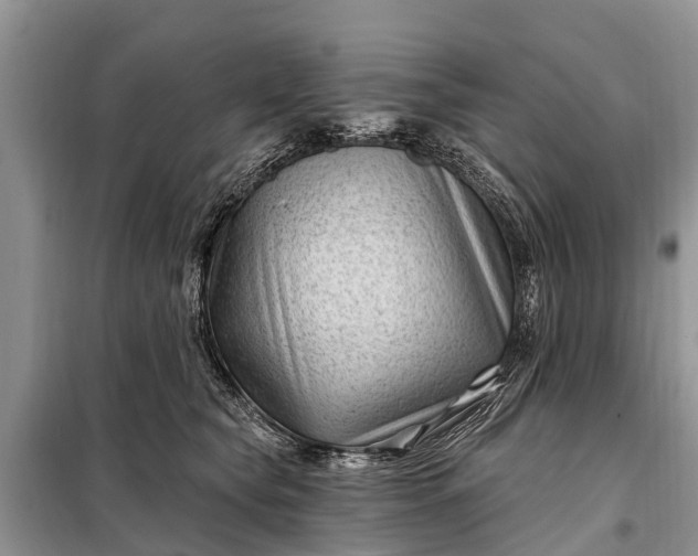 X0000097970565200804071101