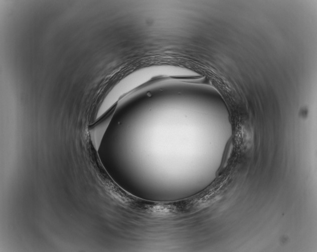 X0000097970566200804071101