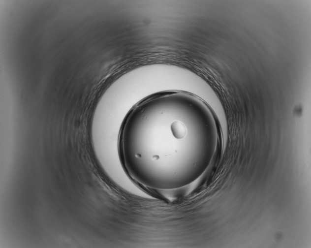 X0000097970568200804071101