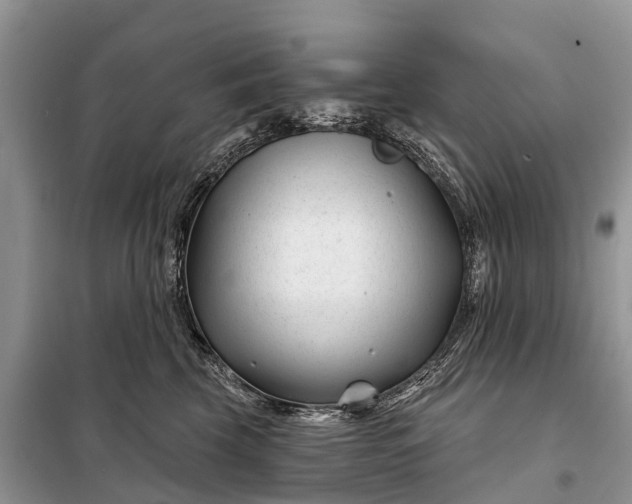 X0000097970569200804071101