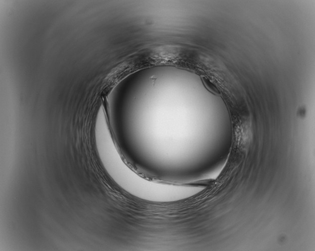 X0000097970570200804071101