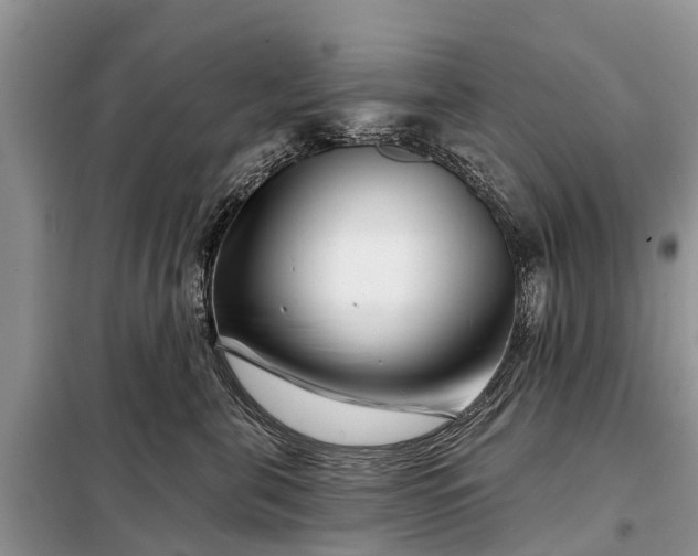 X0000097970571200804071101