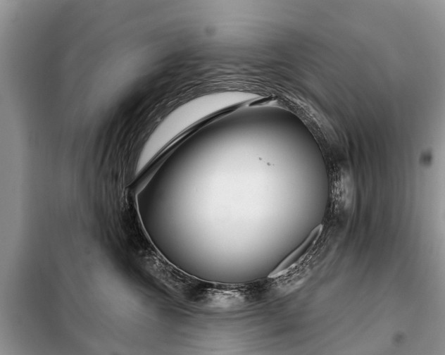 X0000097970572200804071101