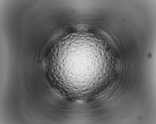 X0000097970573200804071101