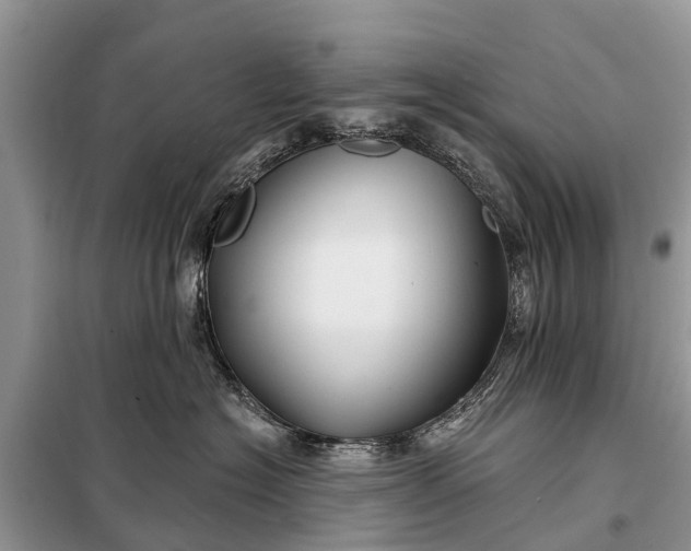 X0000097970574200804071102