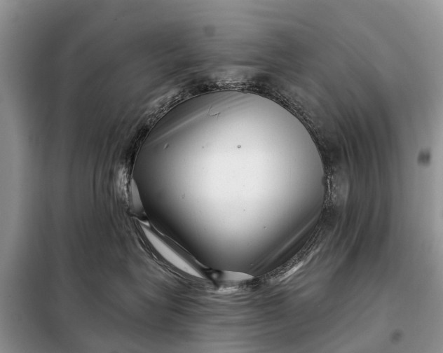 X0000097970575200804071102