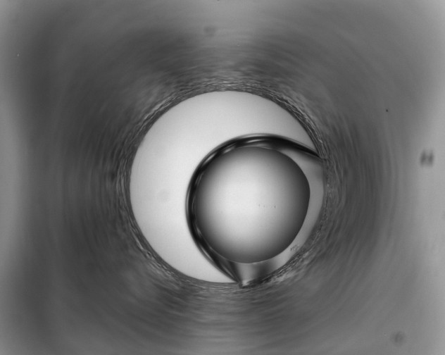 X0000097970576200804071102