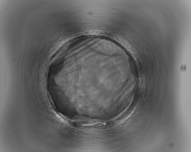 X0000097970577200804071101