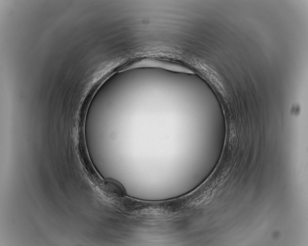 X0000097970578200804071101