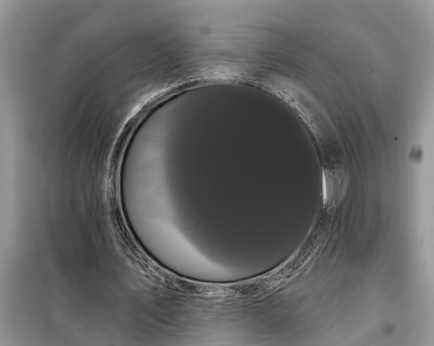 X0000097970579200804071101