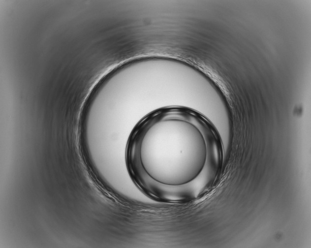 X0000097970580200804071101