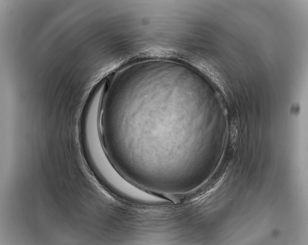 X0000097970581200804071101