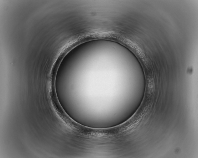 X0000097970582200804071101