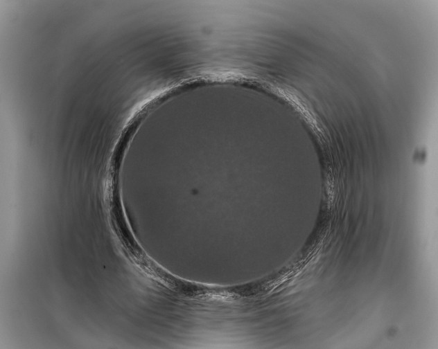 X0000097970583200804071101