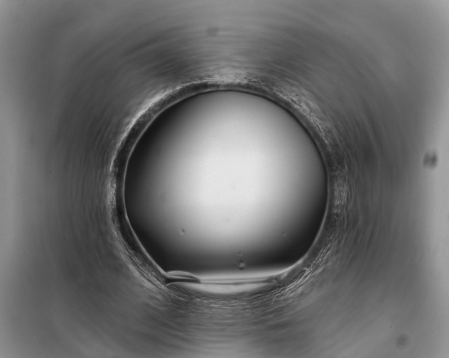 X0000097970584200804071101