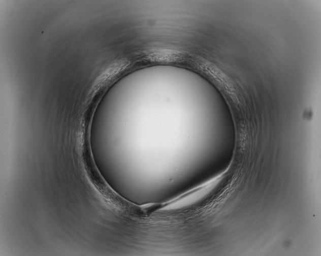 X0000097970586200804071101