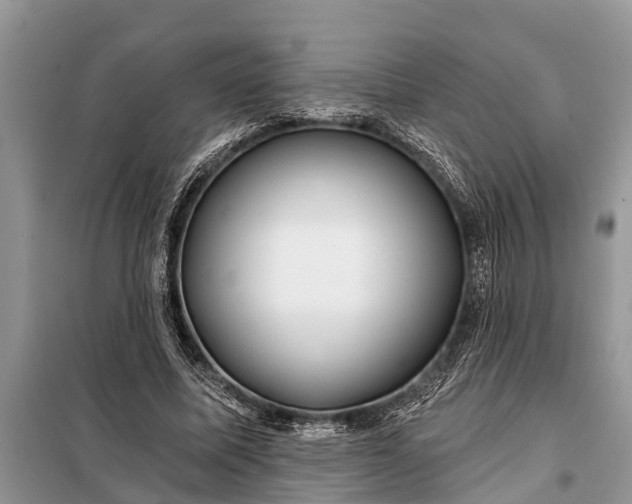 X0000097970587200804071101