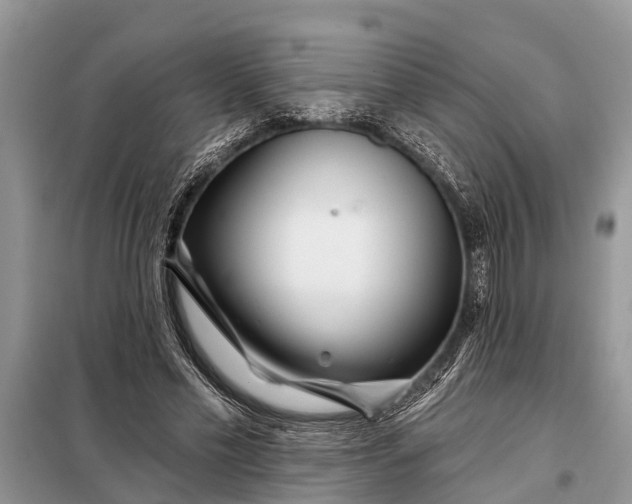 X0000097970589200804071101