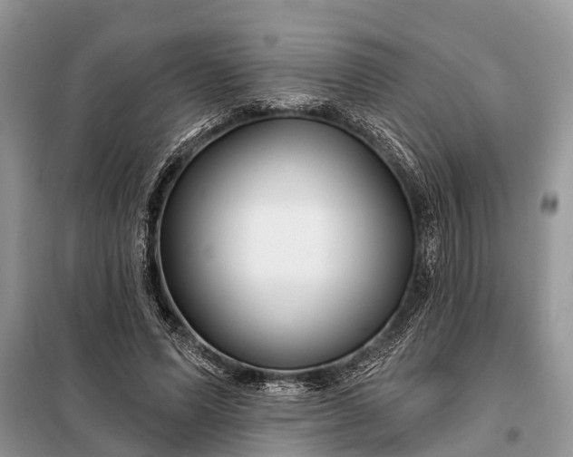 X0000097970591200804071101