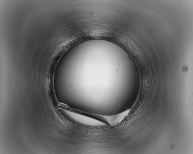 X0000097970592200804071101