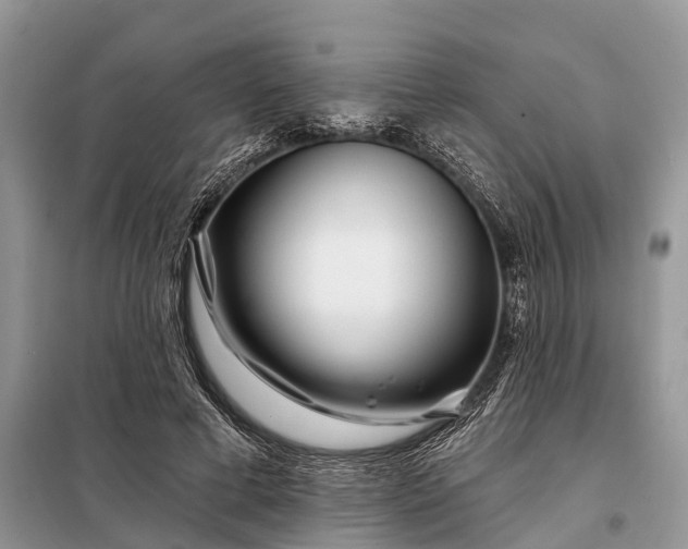 X0000097970593200804071101