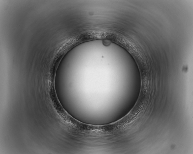 X0000097970594200804071101