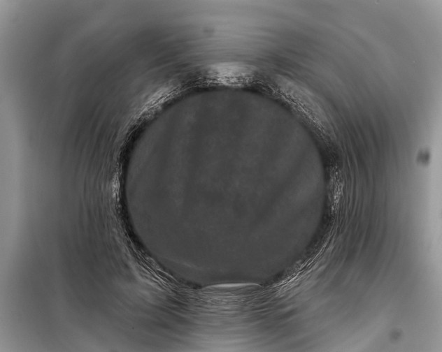 X0000097970595200804071101