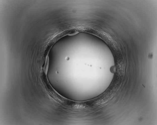 X0000097970596200804071101