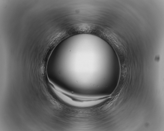 X0000097970597200804071101