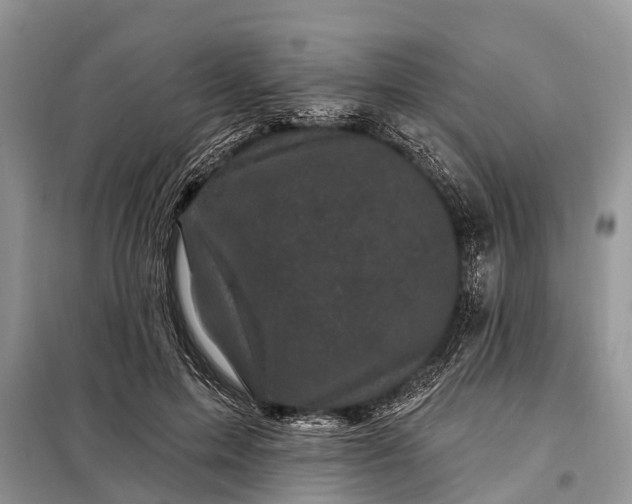 X0000097970599200804071101