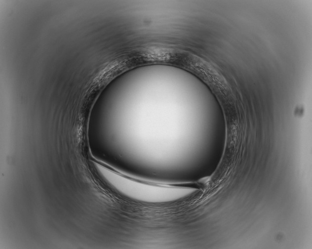 X0000097970600200804071100