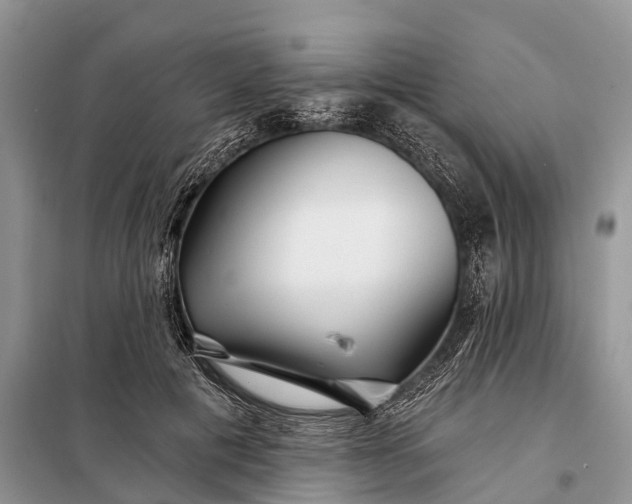 X0000097970601200804071100