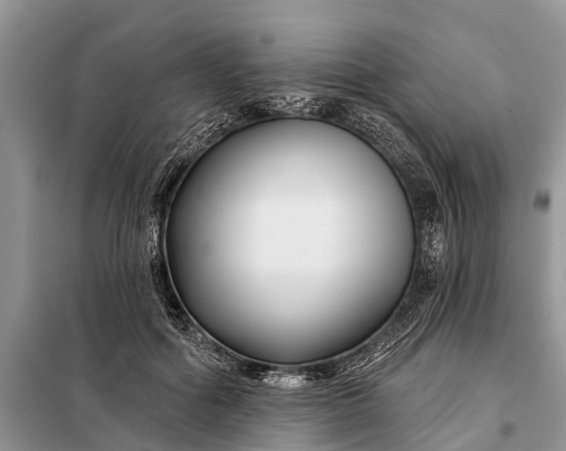 X0000097970602200804071100