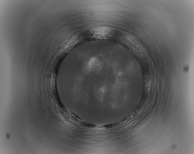 X0000097970603200804071100