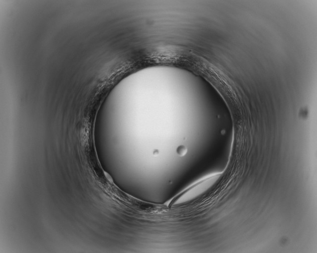 X0000097970604200804071100