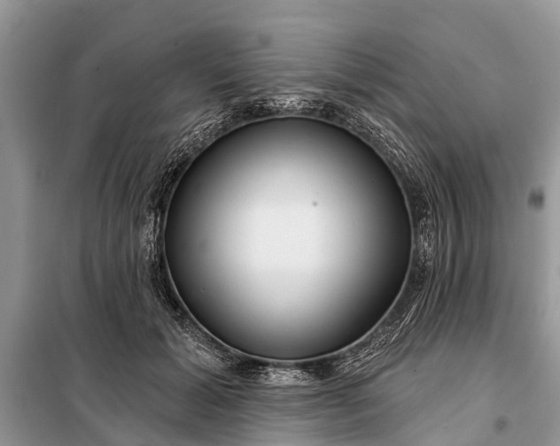 X0000097970605200804071100