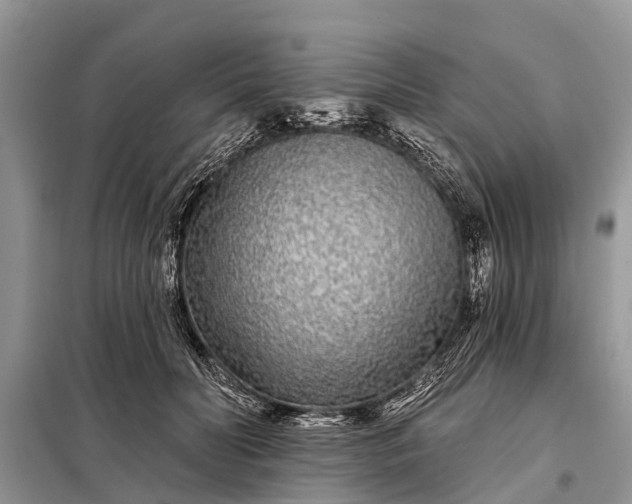 X0000097970606200804071100