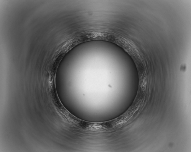 X0000097970607200804071100