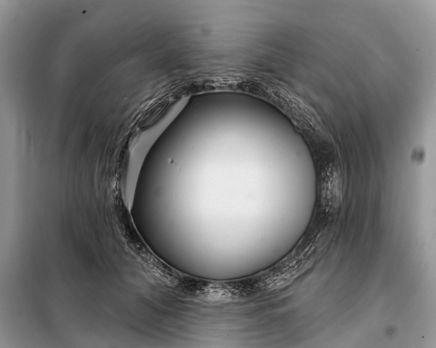 X0000097970608200804071100