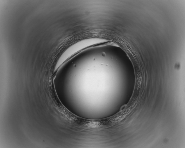 X0000097970609200804071100