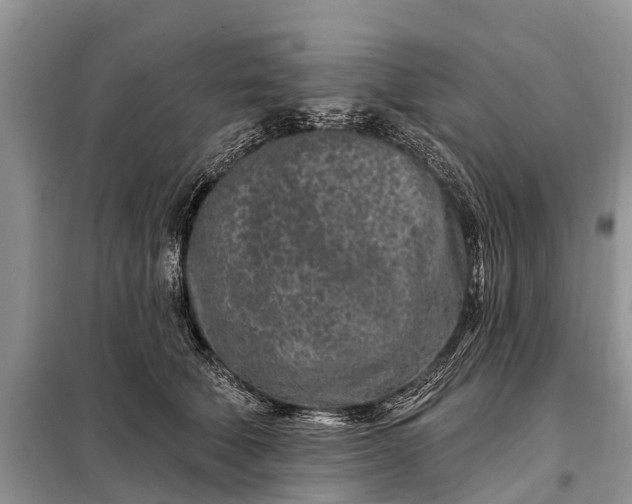 X0000097970610200804071100