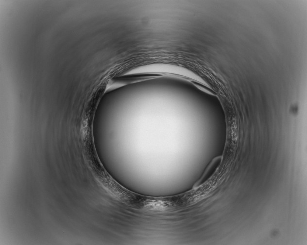 X0000097970611200804071100