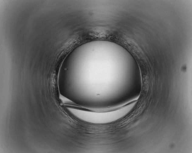 X0000097970612200804071100