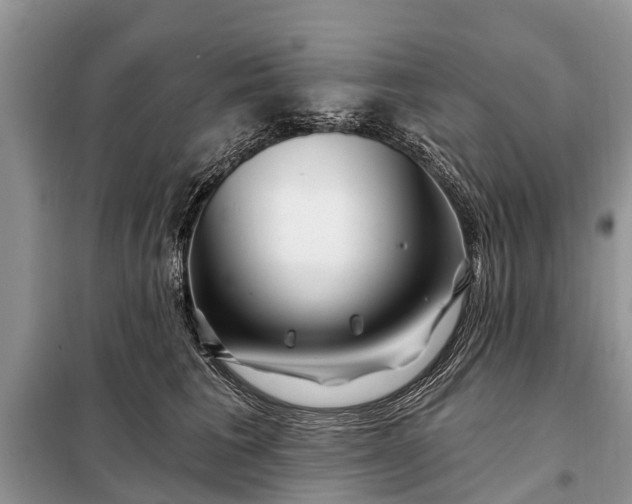 X0000097970613200804071100