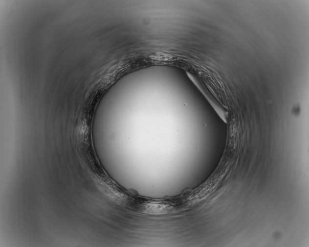 X0000097970614200804071100