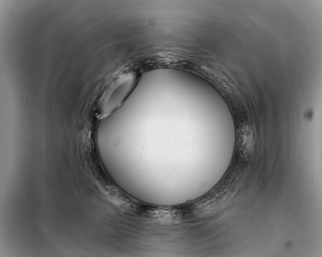 X0000097970615200804071100