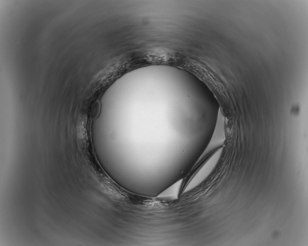 X0000097970616200804071100